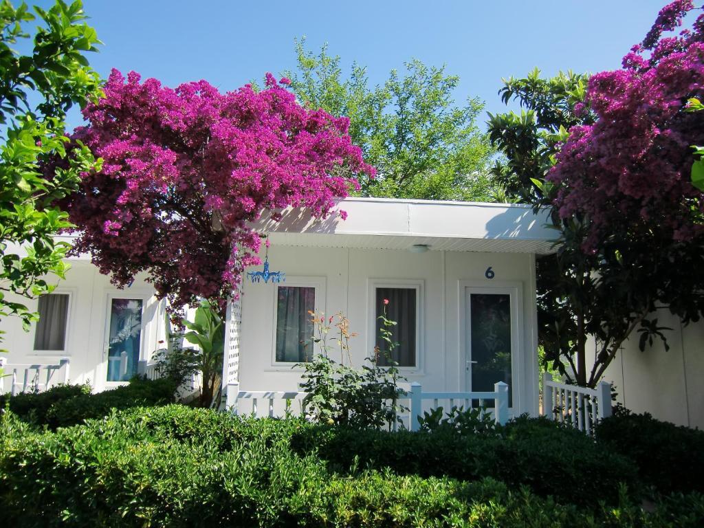 Blue & White Hotel Çıralı 部屋 写真